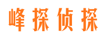 寻甸市场调查